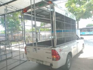 หลังคารถกระบะ