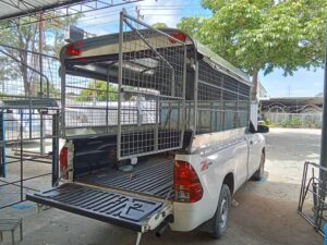 หลังคารถกระบะ