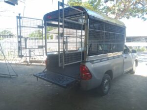 หลังคารถกระบะ